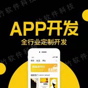 开发社交电商APP功能和优势